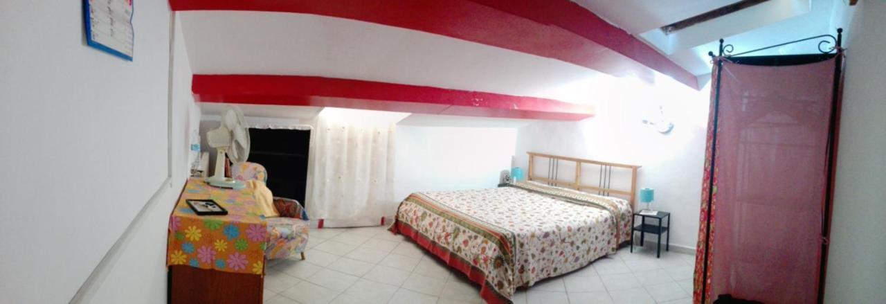 Apartmán Mansarda Pieno Centro Livorno Exteriér fotografie